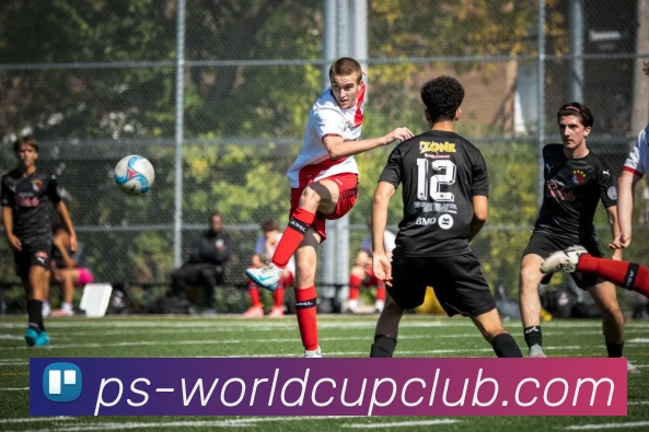 世界杯WorldCup平台平台生态图